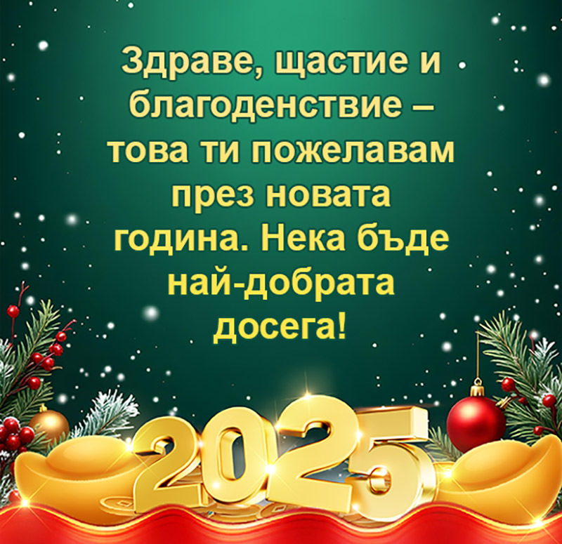 Здраве, щастие и благоденствие – това ти пожелавам през новата година. Нека бъде най-добрата досега!