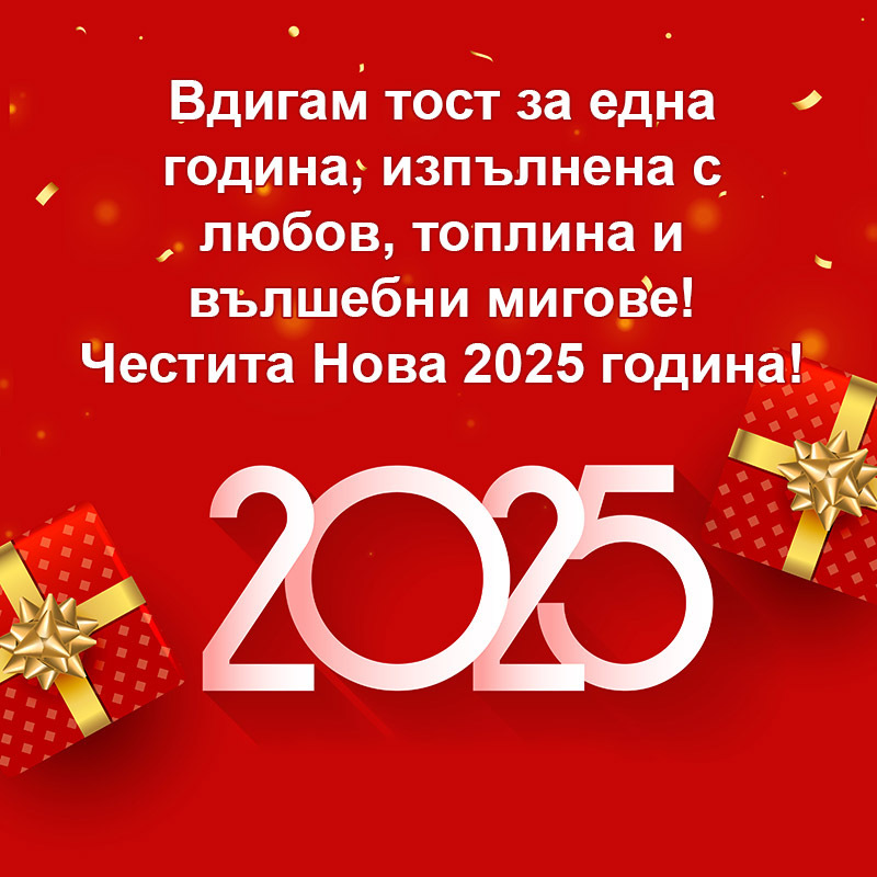 Вдигам тост за една година, изпълнена с любов, топлина и вълшебни мигове! Честита Нова година!